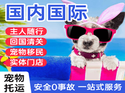 安庆天柱山国际宠物托运 【国